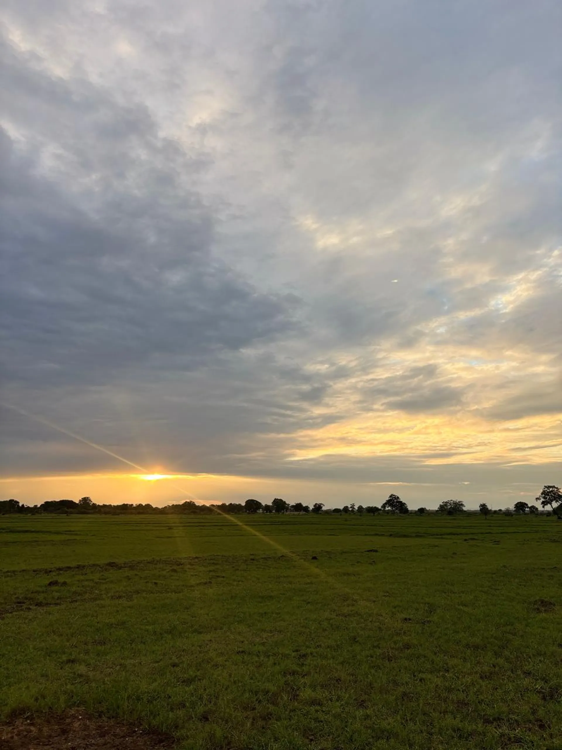 Avion Farm Retreat - Kantale